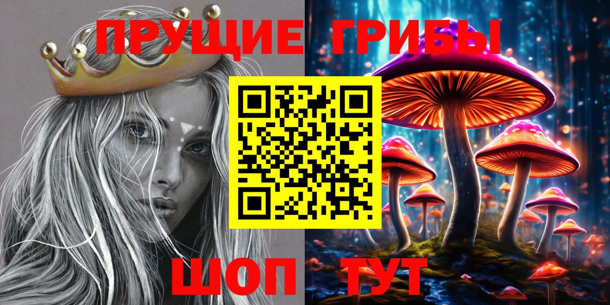 Псилоцибиновые грибы Psilocybine cubensis Ульяновск
